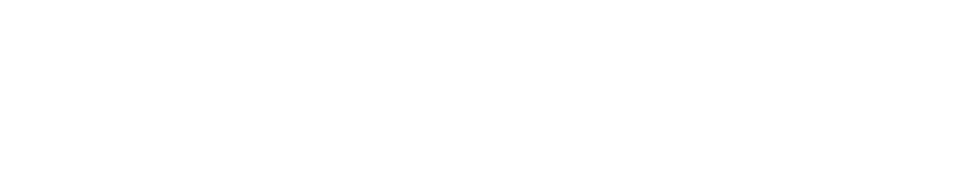 Hôtel Grand Président